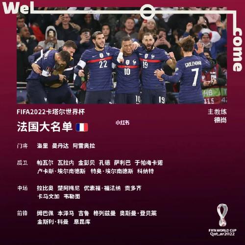 中国vs法国卡塔尔世界杯